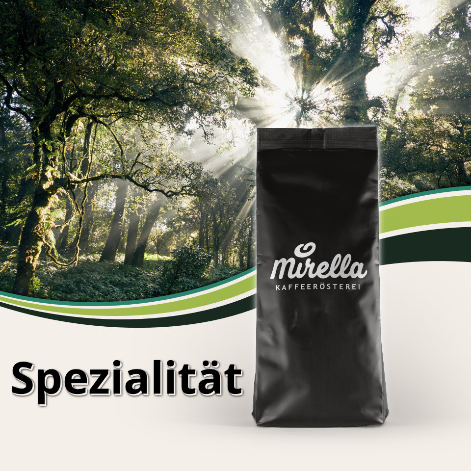Regenwald Kaffee