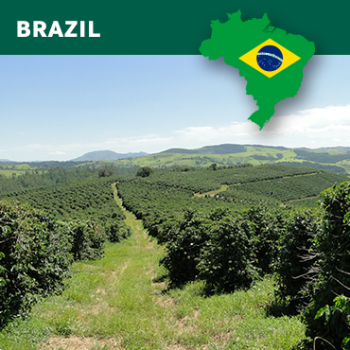 Brasil Santa Casa